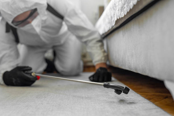 Professional Bed Bug Control technician working in Antioch, IL