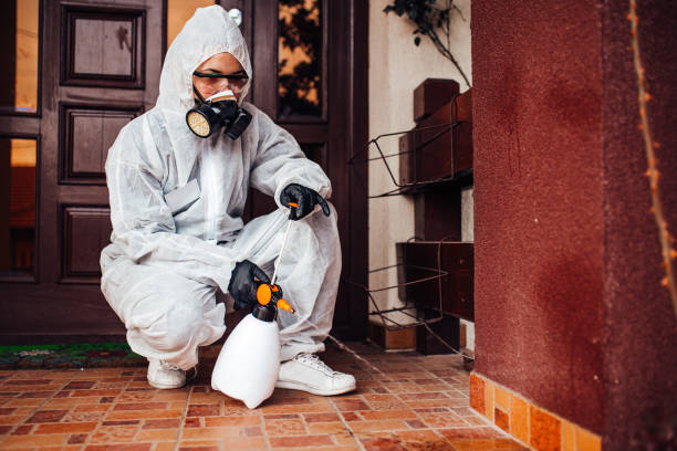 Reliable Bed Bug Control contractor in Antioch, IL by Nex Pest Control